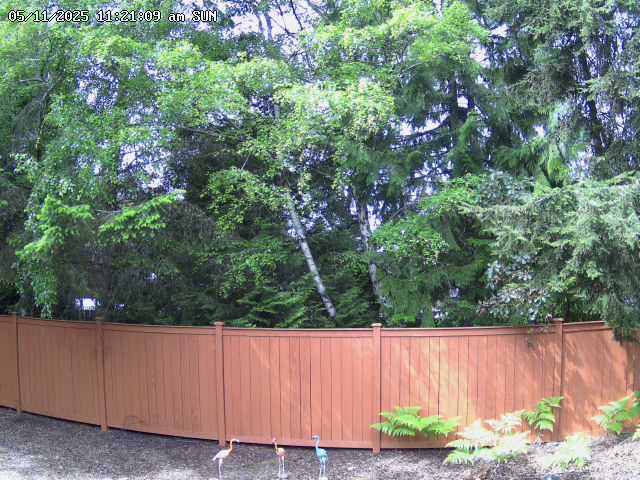 Backyard Camera
