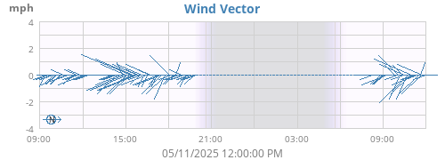 Wind Vector