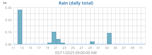 Rain