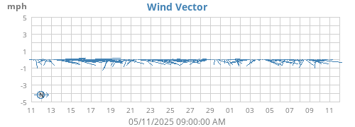 Wind Vector